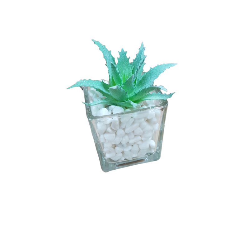 PACK X12 PLANTAS ARTIFICIALES EN MACETA DE VIDRIO CACTUS SUCULENTA