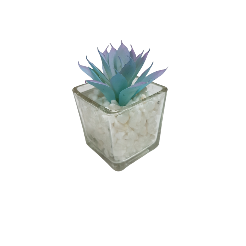 PACK X12 PLANTAS ARTIFICIALES EN MACETA DE VIDRIO CACTUS SUCULENTA