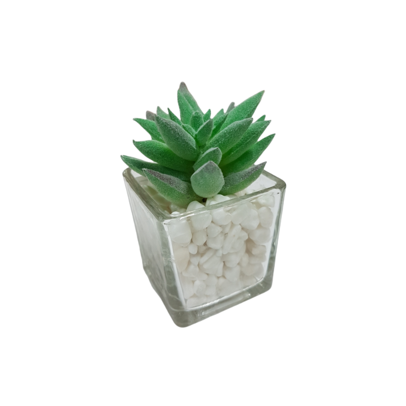 PACK X12 PLANTAS ARTIFICIALES EN MACETA DE VIDRIO CACTUS SUCULENTA