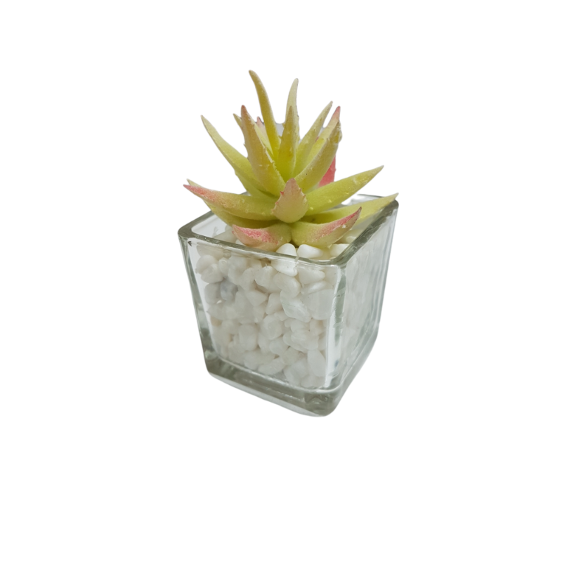 PACK X12 PLANTAS ARTIFICIALES EN MACETA DE VIDRIO CACTUS SUCULENTA