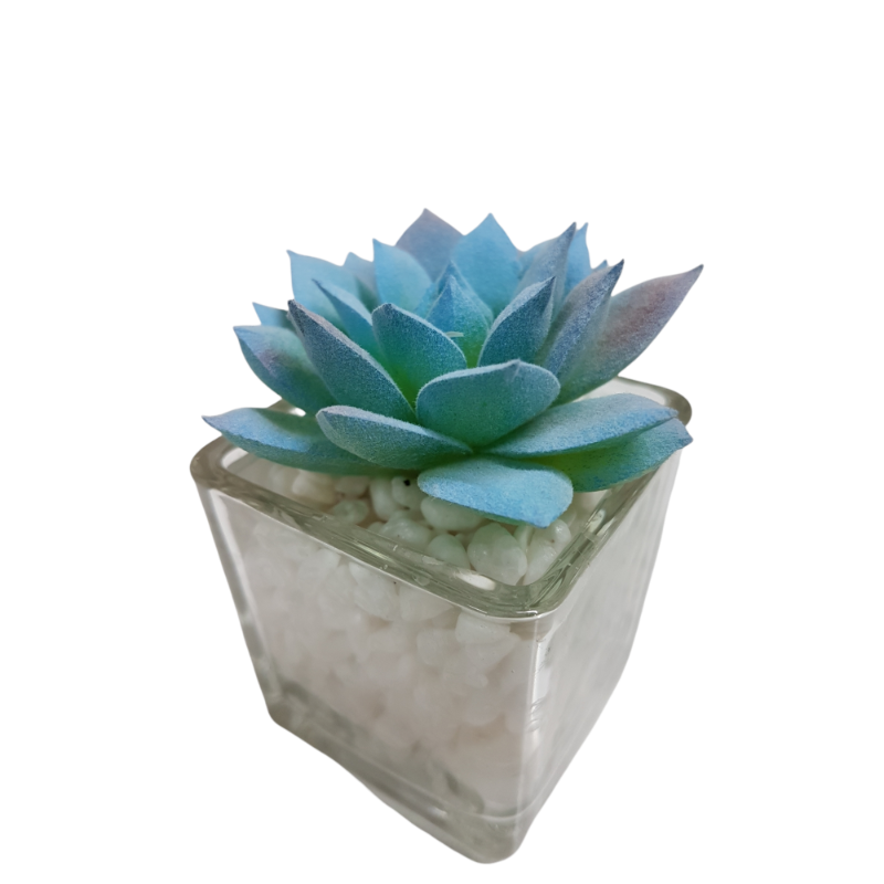 PACK X12 PLANTAS ARTIFICIALES EN MACETA DE VIDRIO CACTUS SUCULENTA