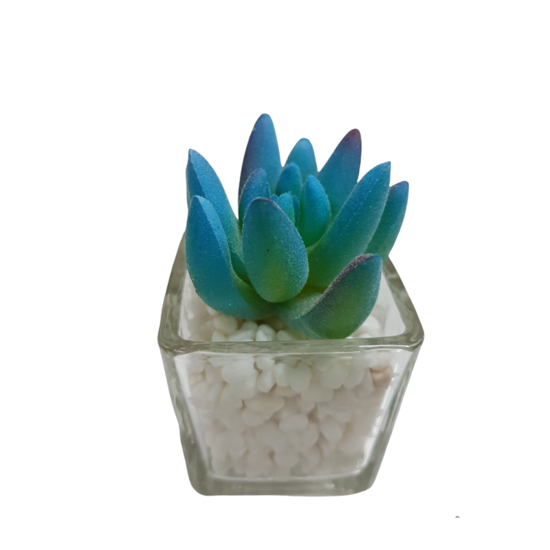 PACK X12 PLANTAS ARTIFICIALES EN MACETA DE VIDRIO CACTUS SUCULENTA