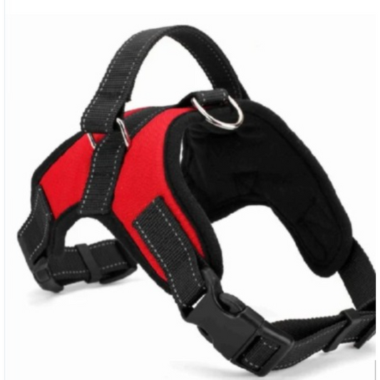 PRETAL ARNES ACOLCHONADO PECHERA PARA PERROS