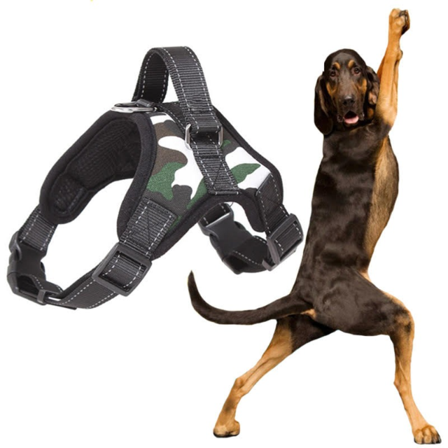 PRETAL ARNES ACOLCHONADO PECHERA PARA PERROS