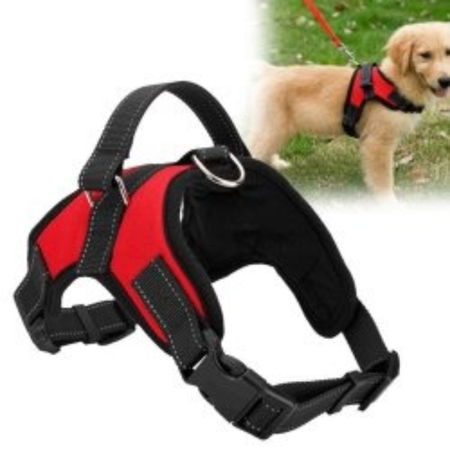 PRETAL ARNES ACOLCHONADO PECHERA PARA PERROS